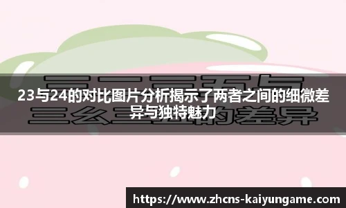 23与24的对比图片分析揭示了两者之间的细微差异与独特魅力